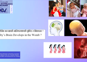 How a Baby’s Brain Develops in the Womb ?